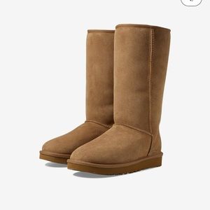 Ugg classic tall boot